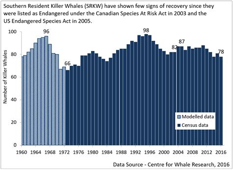 killer whale population graph